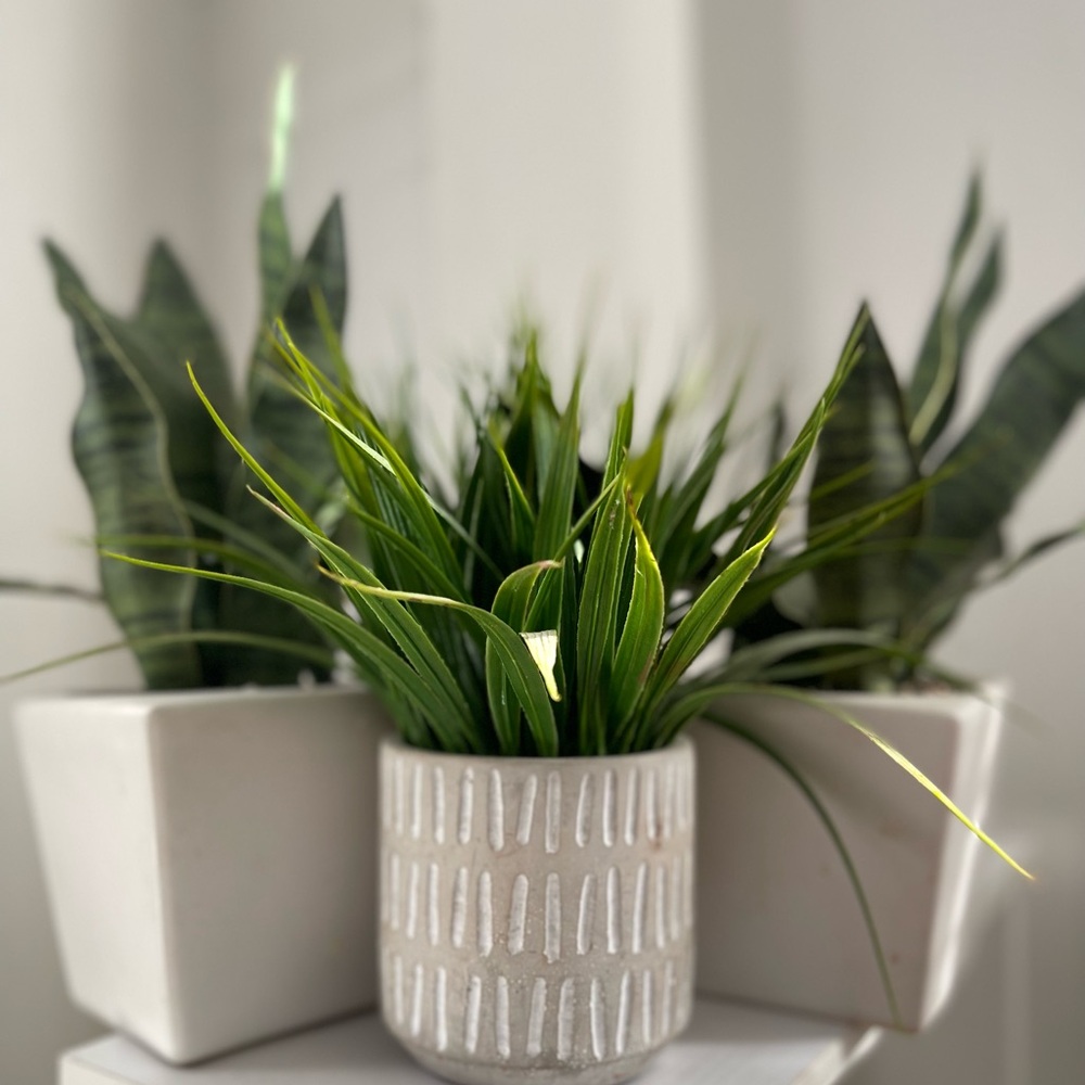 🎉🎉🎉Artificial Potted Plant Home Decor (3) Combo
